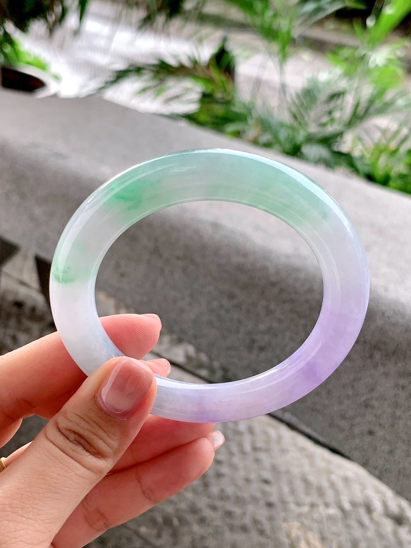 Yuanjiu Jewelry – Natural Jadeite Bracelet, "Spring with Color" (Purple, Green & White), Elegant and Charming
