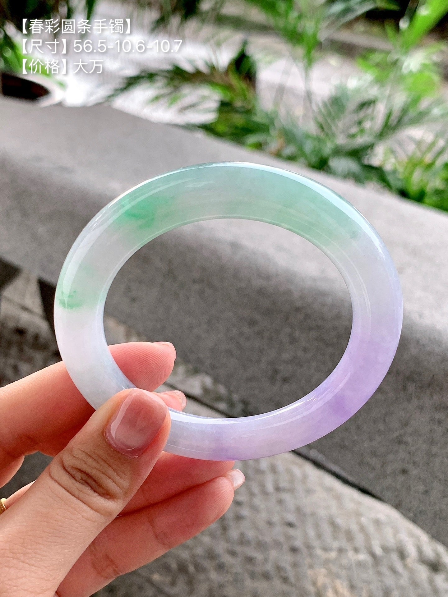 Yuanjiu Jewelry – Natural Jadeite Bracelet, "Spring with Color" (Purple, Green & White), Elegant and Charming